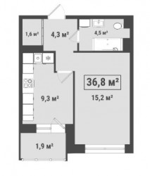 Однокомнатная квартира 36.8 м²